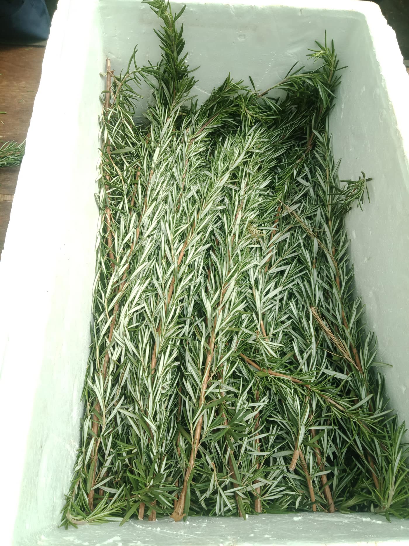 GGG Produce farm and herb photography (50)