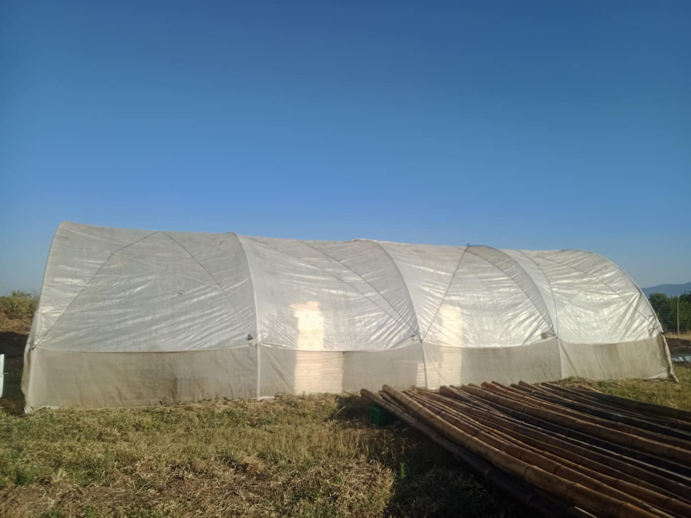 GGG Produce farm and herb photography (86)
